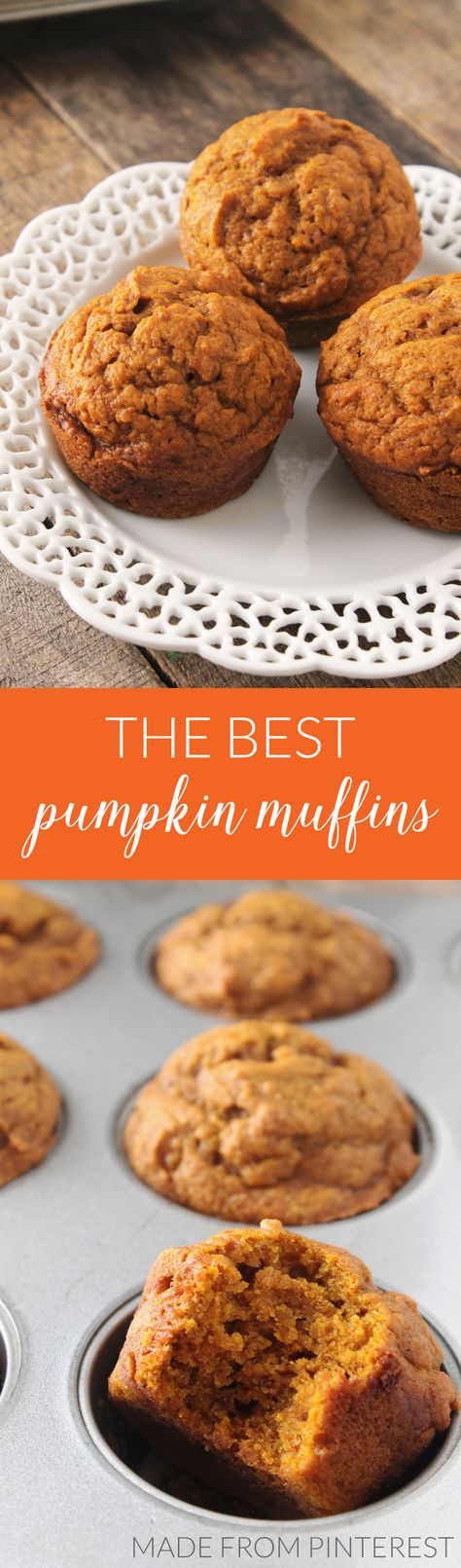 best-pumpkin-muffins Muffins With Pumpkin Puree, Applesauce Pumpkin Muffins, Pumpkin Munchkin Recipe, Pumpkin Muffins Without Eggs, Pumpkin Muffins With Applesauce, Pumpkin Puree Muffins, Pumpkin Applesauce Muffins, Pumpkins Spice, Easy Pumpkin Muffins