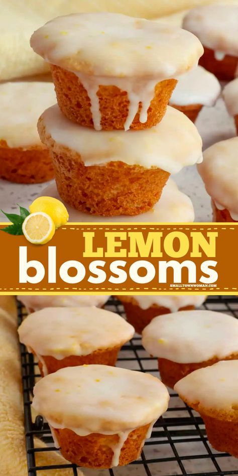 Add fun to your Spring dessert recipes with these easy lemon blossoms! These best lemon mini cakes are deliciously baked in a mini muffin tin and topped with a three-ingredient lemon glaze. What's not to love? Lemon Blossoms Recipe, Muffin Tin Recipes Dessert, Mini Lemon Cakes, Mini Muffin Pan Recipes, Spring Dessert Recipes, Easy Mini Cake, Lemon Recipes Easy, Mini Muffin Tin Recipes, Lemon Desserts Easy