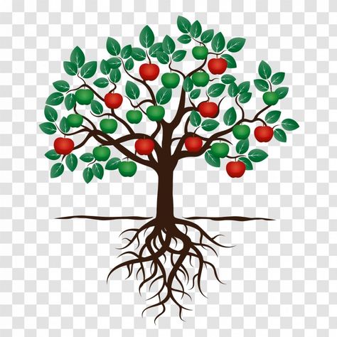 Tree With Fruits Drawing, Fruit Bearing Trees Drawing, Fruit Tree Drawing, Tree With Roots Drawing, Tree Vector Png, Apple Tree Drawing, Roots Illustration, Roots Drawing, Drawing Apple