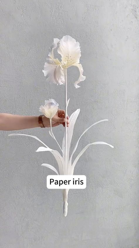 manney.paperart.design | The whole process of making a paper iris. #iris #paperflower #handmadeflower #flowerdesign #flowerdecoration | Instagram Flower Crafts Diy, Paper Iris, Flower Craft Ideas, Healthy Potato, Crafts Diy Projects, Paper Plants, Flower Installation, Diy Projects For Beginners, Paper Flower Crafts