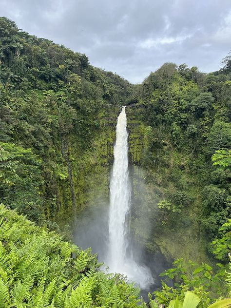 Akaka Falls Trail, Akaka Falls State Park, Hakalau, Hawaii, Hawaii | AllTrails.com Red Dirt Falls Kauai, Akaka Falls Hawaii, Manoa Falls Oahu, Sacred Falls Oahu, Hawaii Beach House, Oleta River State Park, Visit Hawaii, Hawaiian Vacation, Hawaii Homes