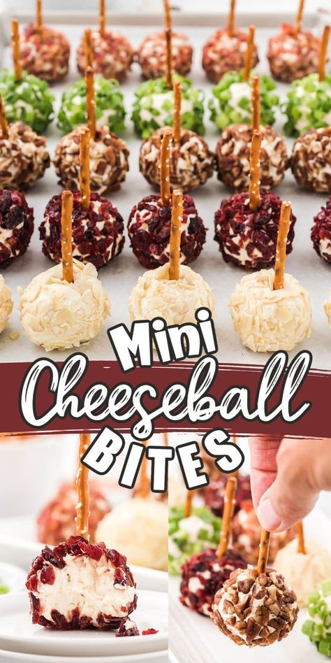 Cheeseball Bites, Best Thanksgiving Appetizers, Cheese Ball Bites, Fingerfood Party, Christmas Recipes Appetizers, Appetizers Easy Finger Food, Finger Foods Easy, Cheese Ball Recipes, Charcuterie Recipes