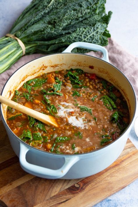 Plant Based French Lentil and Kale Stew | Plant Based Recipes | Harris Farm Markets | Harris Farm Markets Lentil Kale, Kale Stew, Veg Diet, Tomato Risotto, French Lentils, Vegan Stew, Mango Sauce, Dried Lentils, Kale Soup