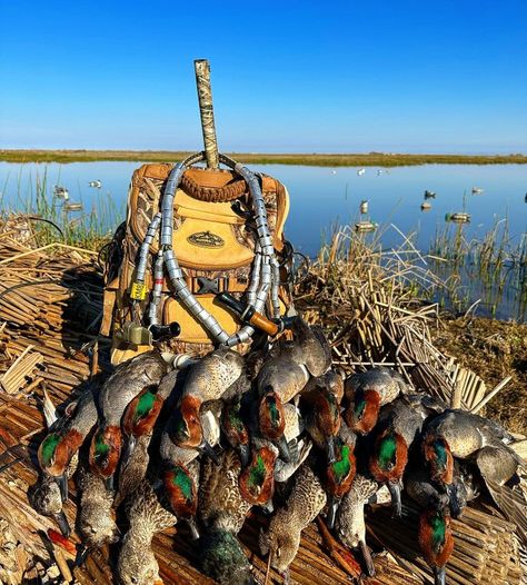 Bow Hunting Aesthetic, Duck Hunting Photography, Waterfowl Photography, Tiger Hunting, Hunting Aesthetic, Hunting Birds, Dogs Hunting, Hunting Animals, Waterfowl Art