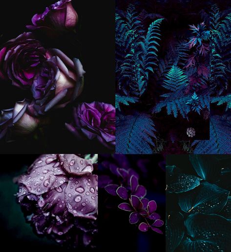 Purple Emerald Color Palette, Deep Purple Boho Bedroom, Black And Jewel Tone Color Palette, Purple Jewel Tone Color Palette, Moody Purple Room, Whimsigothic Color Palette, Moody Paint Palette, Moody Jewel Tone Bedroom, Jewel Toned Bathroom