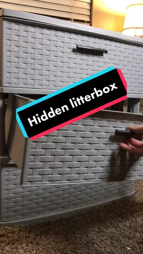 DIY HIDDEN LITTER BOX #QuickerPickerRapper #DIY #catsoftiktok #catmom #catdad #cats #PetsOfTikTok #diycatlitterbox #catlitterbox #fyp Hide Cat Box Ideas, Hidden Litter Boxes Diy, Diy Hidden Litter Box, Cat Box Hide, Diy Litter Box Cover, Hidden Cat Litter Box Ideas, Box Room Ideas, Cat Litter Box Diy, Cat Litter Box Ideas