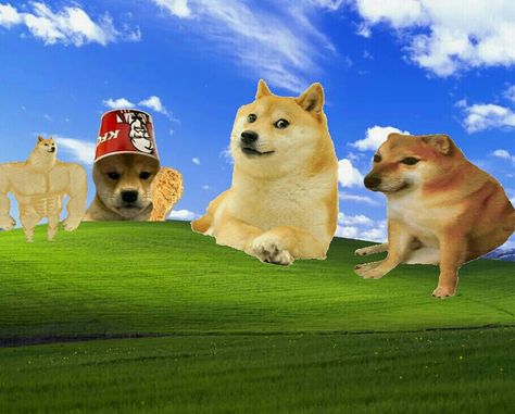 just a photo of the original Windows XP wallpaper with Doge Windows Xp Wallpaper, Fun Wallpaper, Windows Xp, Computer Wallpaper, Wallpaper Pc, Cool Wallpaper, Desktop Wallpaper, The Original, A Photo