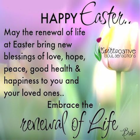 Easter Wishes Messages, Easter Inspirational Quotes, Happy Easter Messages, Happy Easter Pictures, Happy Easter Quotes, Easter Prayers, Happy Easter Sunday, Happy Easter Greetings, Easter Greetings Messages