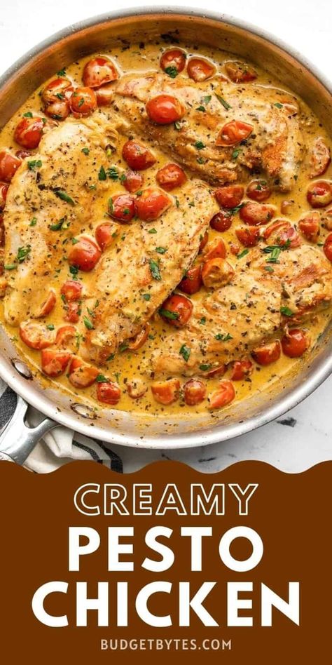 Creamy Pesto Chicken, Chicken Pesto Recipes, Creamy Pesto, Easy Camping, Pesto Recipe, Health Dinner Recipes, Fall Dinner, Pesto Chicken, Chicken Dishes Recipes