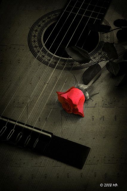 Music and flowers...2 of my loves! Color Splash Photography, Guitar Photography, Music Backgrounds, All About Music, Music Images, Jim Morrison, Music Photo, Music Aesthetic, Music Wallpaper