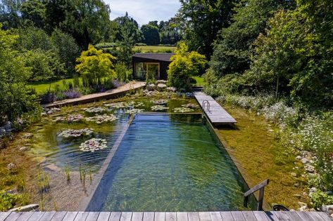 From organic pools to £100k huts, the seven trends defining the housing market today - Country Life Natural Pond Pool Backyards, Swimming Ponds, Swimming Pool Pond, Natural Swimming Ponds, Swimming Pond, Natural Pond, Natural Swimming Pools, Natural Swimming Pool, Pond Design