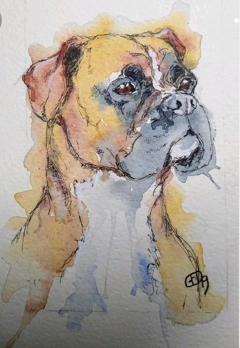 Boxer Dog Painting, Painting Clipart, Dog Sketches, Dogs Watercolor, Dog Portrait Drawing, Watercolor Dogs, Dog Watercolor Painting, Watercolour And Pen, Boxer Dogs Art