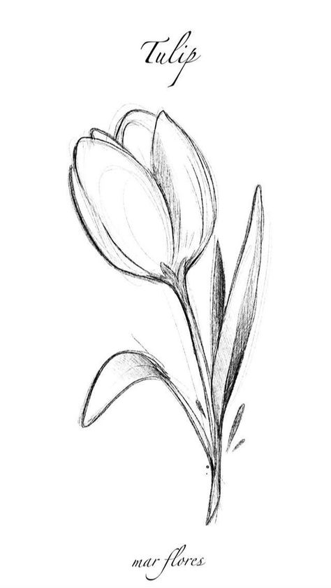 Minimalist tattoos are all the rage right now, and for good reason. They're simple, stylish, and can be customized to fit any personality. Check out these ! . #Sketch_Flowers_Step_By_Step #Animal_Easy_Sketches #Easy_Pencil_Drawings_Of_Flowers_Sketches #Easy_Drawings_Flowers_Simple Tulip Drawing, Tulip Tattoo, Pencil Drawings Easy, Tattoo Design Book, Minimalist Tattoos, Flower Sketches, Sketches Simple, Custom Tattoo Design, Car Hacks