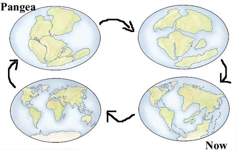 Continental Drift | Alfred Wegener: Building a Case for Continental Drift - University of Illinois at Urbana-Champaign Continental Drift Theory, Alfred Wegener, Continental Drift, All Continents, Urbana Champaign, University Of Illinois, Plate Tectonics, Club Hairstyles, Geology