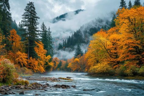 A scenic landscape with vibrant autumn colors. royalty free stock photography Chrome Book, Autumn Colors, Stock Photography Free, Scenic Landscape, Landscape Photos, Vector Icons, Fall Colors, Stock Photography, Iphone Wallpaper