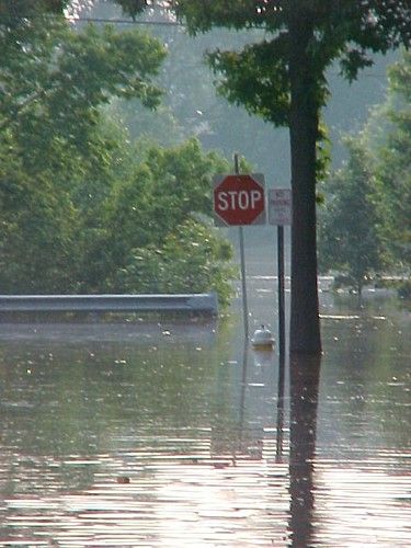 Navy Wife Life, California Drought, Summer Series, Navy Wife, Wife Life, Film Review, City Aesthetic, Business Process, Survival Skills