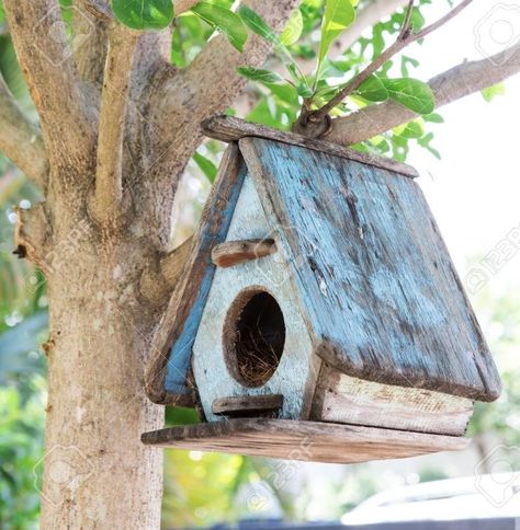 Birdhouse Projects, Homemade Bird Houses, Beautiful Birdhouses, Bird Houses Ideas Diy, Birdhouses Rustic, Garden Birdhouses, Bird House Feeder, Wooden Bird Houses, Bird House Plans