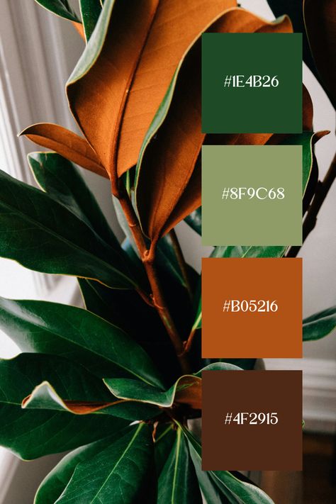 Brown and Green Color Palette: Lush green leaves with a warm brown underside, creating a rich and natural contrast. The combination of earthy tones evokes a sense of warmth and vitality. Army Green Pallet Color Schemes, Contrasting Green Color Palette, Leopard Colour Palette, Army Green Color Palette Fashion, Dark Green And Tan Color Palette, Green And Brick Color Palette, Wedding Color Schemes Greens, Sage Green Burnt Orange Color Palette, Red Blue Green Gold Color Palette