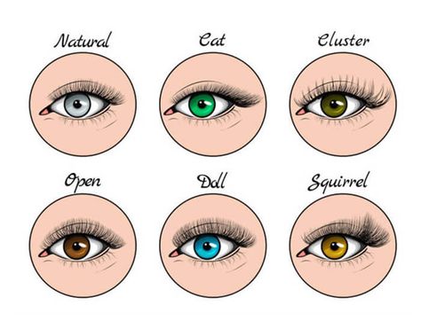 How to Choose the Right False Eyelashes to Suit Your Eye Shape - Yiernuo Lashes Eyelash Shape Chart, Lash Extension Styles Chart, Eyelash Styles Chart, Types Of Lash Extension Styles Cat Eye, Lash Maps For Eye Shapes, Types Of Lash Extension Styles Chart, Lash Styles Chart, Lash Styles For Eye Shapes, Lashes Types