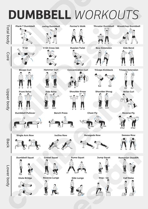 Exercise Illustration, Fitness Before After, Dumbbell Exercise, Dumbbell Exercises, Motivasi Diet, Dumbell Workout, Trening Fitness, Gym Routine, Workout Chart