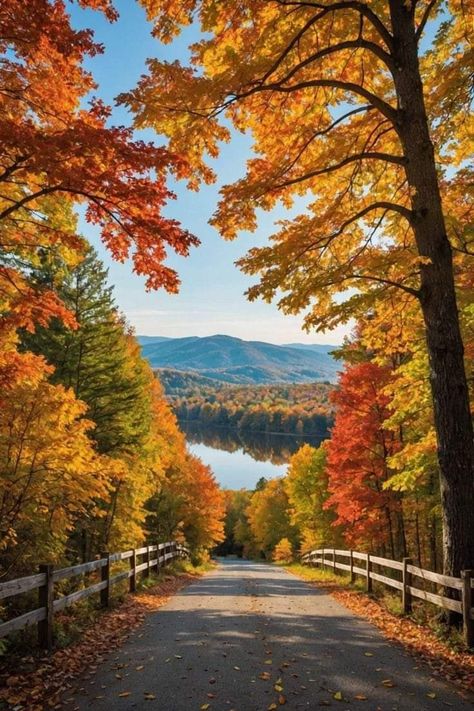 Autumn View Aesthetic, Painting View Nature, Shenandoah National Park Fall, Fall In Virginia, Fall Foliage Aesthetic, Autumn Aesthetic Photos, Fall Landscape Wallpaper, Autumn Landscape Wallpaper, Landscape Photos Nature