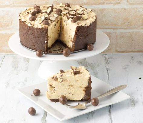 If you like Maltesers, then this is a cheesecake I think you will really enjoy.  There are Maltesers in the base, the cream cheese filling as well as sprinkled over the top. The base is a mix of ch… Malteser Cheesecake, Chocolate Ripple Biscuits, Malteser Cake, Chocolate Cream Cheese, Almond Cakes, Cream Cheese Filling, Chocolate Cheesecake, Tart Recipes, Homemade Chocolate