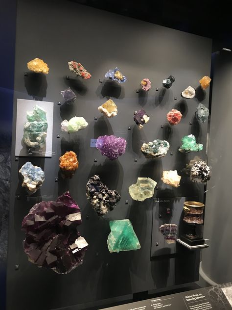 Crystal Wall Display, How To Display Crystals And Stones, Rock Display Ideas, Mineral Collection Display, Crystal Display Ideas, Crystal Collection Display, Display Crystals, Rock Collection Display, Rock Display