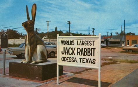 Monument Signage, Odessa Texas, Gods Country, Midland Texas, Only In Texas, Rabbit Life, Shrimp Boat, Plains Indians, Legends And Myths