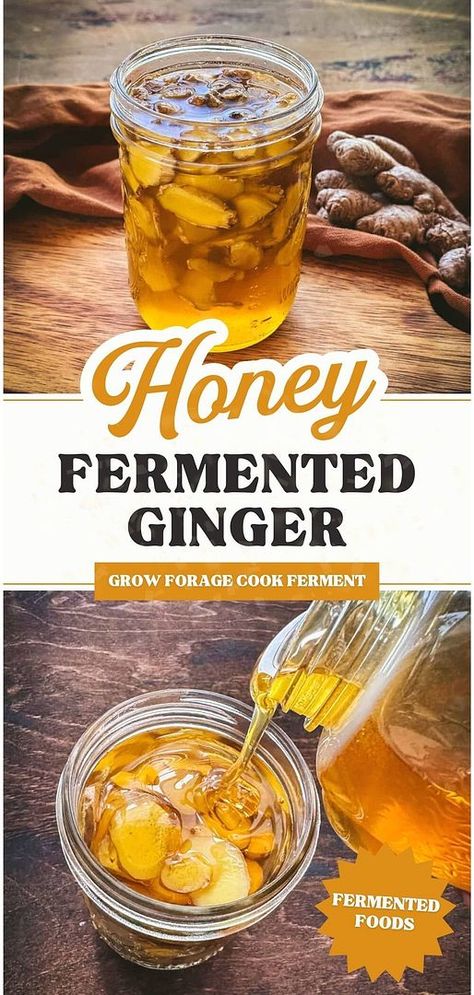 Dive into the world of honey fermented ginger, a tasty and healthful addition to your fermented foods & fermentation recipes collection. With just ginger and raw honey, you can boost your immune system and enjoy the anti-inflammatory properties of ginger. Great for those interested in long term food storage and herbs for health. Find more at growforagecookferment.com. Fermented Ginger, Herbs Medicine, Ginger Bug, Fermented Honey, Cold Remedy, Mouth Health, Ginger Honey, Raw Apple Cider Vinegar, Fermentation Recipes