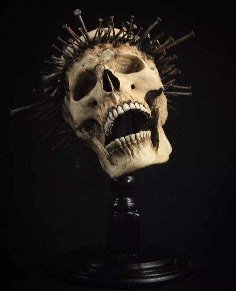 Emil Melmoth Sculpture, Skull Photography Reference, Skull Front View, Emil Melmoth, Skull Anatomy, Skull Reference, Skull Model, Skull Sculpture, Vulture Culture