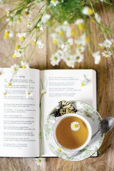 Honey Book, An Open Book, Tea And Books, Chamomile Tea, A Cup Of Tea, My Cup Of Tea, Spring Has Sprung, Coffee And Books, Open Book