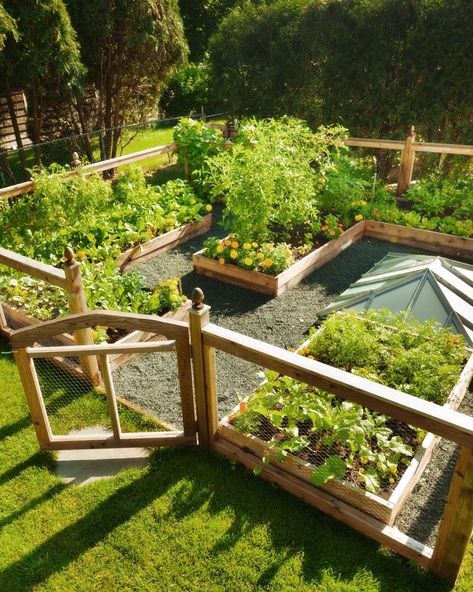 vegetable garden layouts Gardens Ideas Backyard Vegetable, Backyard Veggie Garden Aesthetic, Garden With Planter Boxes, Landscape Vegetable Garden, Raised Vegetable Beds Layout, Backyard Fruit And Vegetable Garden, Strawberry Garden Bed Ideas, Vegetable Garden Design Backyard, Front Garden Vegetable Patch