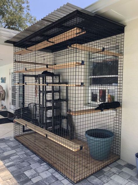 My Catio and Cat-Friendly Backyard - CatVetLife Catio Ideas Cat, Catio Plans, Diy Cat Enclosure, Katt Grejer, Cat Patio, Outdoor Cat Enclosure, Cat House Diy, Cat Proofing, Cat Run