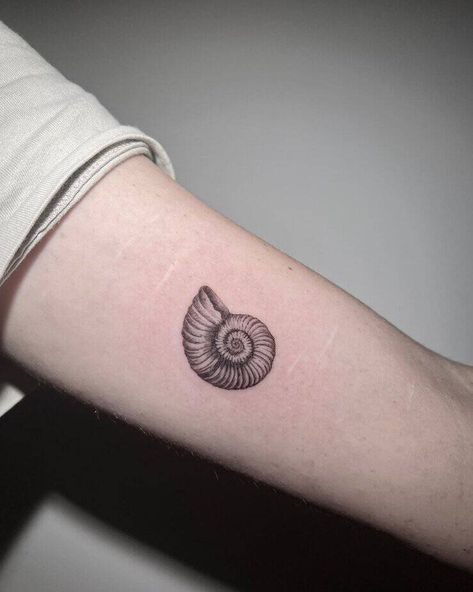 Shell Tattoo Meanings And 25 Jaw-Dropping Design Ideas 8 Nautilus Tattoo Shell, Mollusk Tattoo, Nautilus Shell Tattoo, Nautilus Tattoo, Shell Tattoo, Shell Tattoos, Types Of Shells, Tattoo Meanings, Spiral Shell