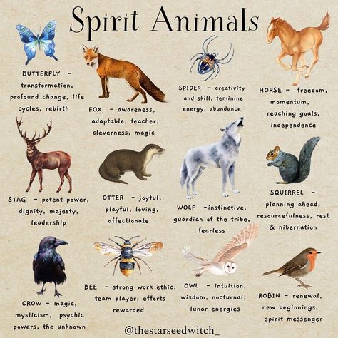 Spirit Guide Animals, Animals And Their Symbolism, Animals Spiritual Meanings, Animal Meanings Symbols, Squirrel Spirit Animal Meaning, Animal Tattoos And Their Meanings, Animals With Meaning, Zodiac Spirit Animals, Leo Spirit Animal