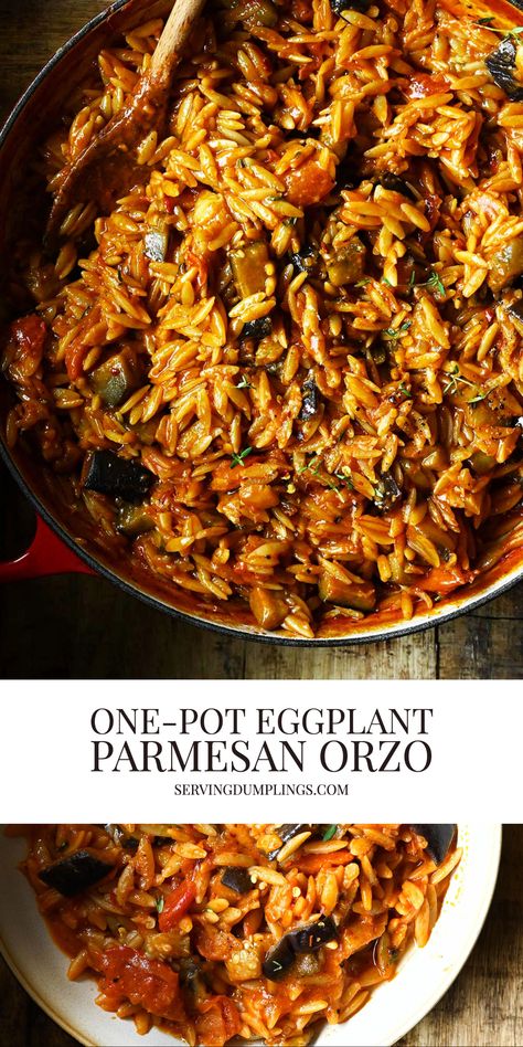 Legume Dinner Recipes, Plant Based One Pot Meals, Orzo Eggplant Recipe, Orzo Vegan Recipes, One Pot Veggie Pasta, Instant Pot Eggplant Recipes, Quick Eggplant Recipes, Orzo Recipes Vegetarian, Recipes Using Eggplant