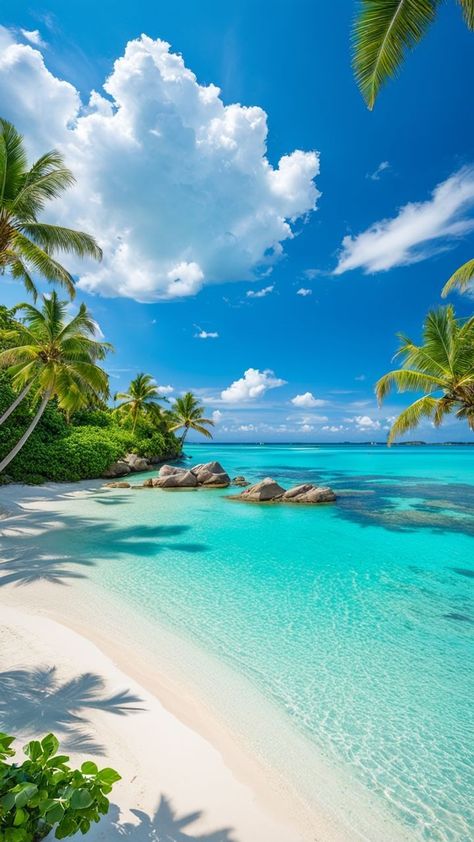 Summer Beach Background, Peaceful Blue, Summer Beach Wallpaper, Beautiful Beaches Paradise, Clear Ocean, Beautiful Beach Pictures, Beautiful Ocean Pictures, Exotic Beaches, Try New Things