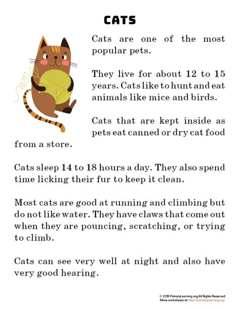 Cat Reading Passage | PrimaryLearning.org Reading Exercises, Phonics Reading Passages, Reading Comprehension For Kids, English Stories For Kids, Reading Comprehension Lessons, Learning English For Kids, Short Stories For Kids, Cat Reading, Kids English