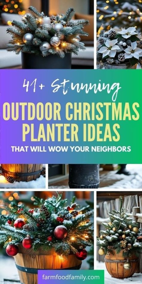 41+ Stunning Outdoor Christmas Planter Ideas That Will Wow Your Neighbors 86 Outdoor Pot Christmas Decorating Ideas, Christmas Hanging Planters, Planters For Christmas Decorations, Outdoor Christmas Floral Arrangements, Outdoor Christmas Planters Farmhouse, Christmas Outdoor Urns Planters, Hanging Christmas Planter Diy, Outdoor Christmas Urns Planters, Christmas Landscaping Ideas