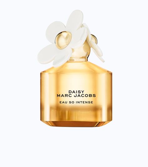 Daisy Eau So Intense Daisy Eau So Intense, Daisy Perfume, Strawberry Hearts, Marc Jacobs Daisy, Sofia Coppola, Anna Wintour, Warm Spring, Contemporary Luxury, Luxury Collection