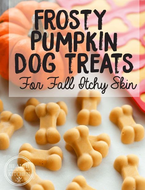 Danny Dog, Frozen Dog Treats, Dog Biscuit Recipes, Easy Dog Treats, Healthy Dog Treats Homemade, Pumpkin Dog Treats, Dog Treats Homemade Recipes, Frozen Dog, Food Dog