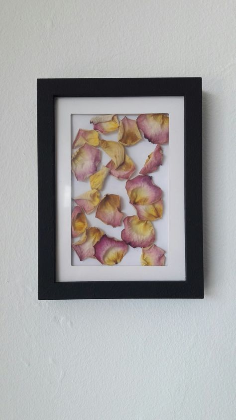 DIY floral decor. Put dried rose peddles in a frame for a beautiful decor piece. Rose Petal Picture Frame, Pressed Rose Petals Framed, Dried Flowers Picture Frame, Dry Petals Ideas, Dried Rose Petals Ideas, Dried Roses Ideas Diy, Pressed Roses Framed, Dry Rose Petals Crafts, Dried Roses Ideas