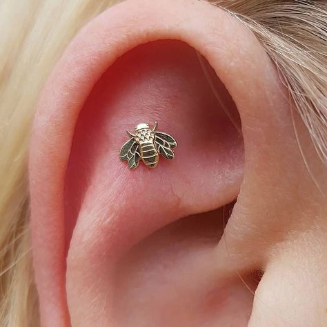 Dea on Instagram: “#throwback to this flat piercing with a yellow gold bee from @bodygems  #bodygemsjewelry #14ctgold #yellowgold #highpolishjewelry…” Flat Piercing Jewelry, Piercing Flat, Pretty Piercings, Unique Ear Piercings, Flat Piercing, Dripping Water, Body Necklace, E Tattoo, Gold Bee