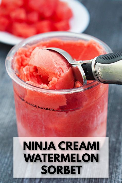 pint container with watermelon sorbet and text Watermelon Creami Sorbet, Ninja Creamy Easy Recipes, Watermelon Ninja Creami Recipe, Ninja Creami Watermelon Ice Cream, Ninja Creami Watermelon Sherbert, Watermelon Sorbet Recipe Ice Cream Maker, Ninja Creami Watermelon Sorbet Recipes, Watermelon Ninja Creami, Ninja Creami Recipes Smoothie