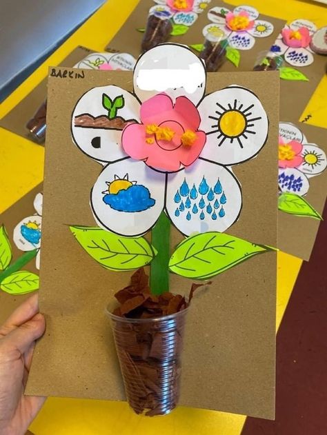 Plant Activities, Kindergarten Classroom Decor, Plant Crafts, Science Worksheets, Preschool Activity, Class Activities, Art N Craft, Kindergarten Classroom, Craft Activities For Kids