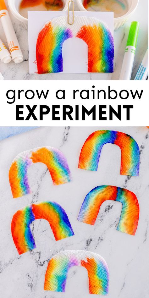 Growing Rainbow Experiment, Rainbow Water Science Experiment, Colors And Shapes Preschool Art Projects, Colorful Science Experiments For Kids, Spring Science Experiments For Toddlers, Rainbow Stem Activities Preschool, Rainbow Math Preschool, Art Experiences For Preschoolers, Reggio Crafts Preschool