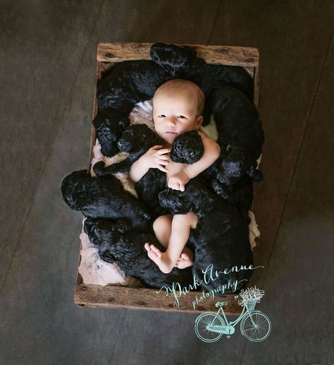 dog-gives-birth-puppies-mother-baby-same-day-kami-klingbeil-7 Newborn Baby Photos, Foto Baby, Puppy Photos, Baby Puppies, Newborn Photoshoot, Baby Dogs, Mans Best Friend, Cuteness Overload, Cute Photos