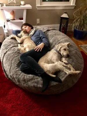 Two-Person Adult Bean Bag Chair | Moviesac | Lovesac Dog Boarding Ideas, Chair Inspiration, Large Dog Bed, Frozen Dog Treats, Bean Bag Bed, Bean Bag Living Room, Adult Bean Bag Chair, Frozen Dog, Dog Area