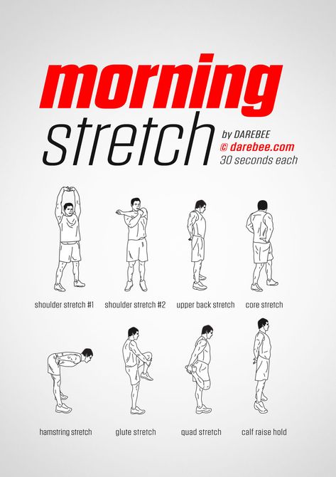 Morning Stretch Workout Workout Morning, Fitness Studio Training, Morning Workout Routine, Morning Stretch, Trening Sztuk Walki, Stretch Workout, Beginner Workouts, Gym Antrenmanları, Morning Stretches