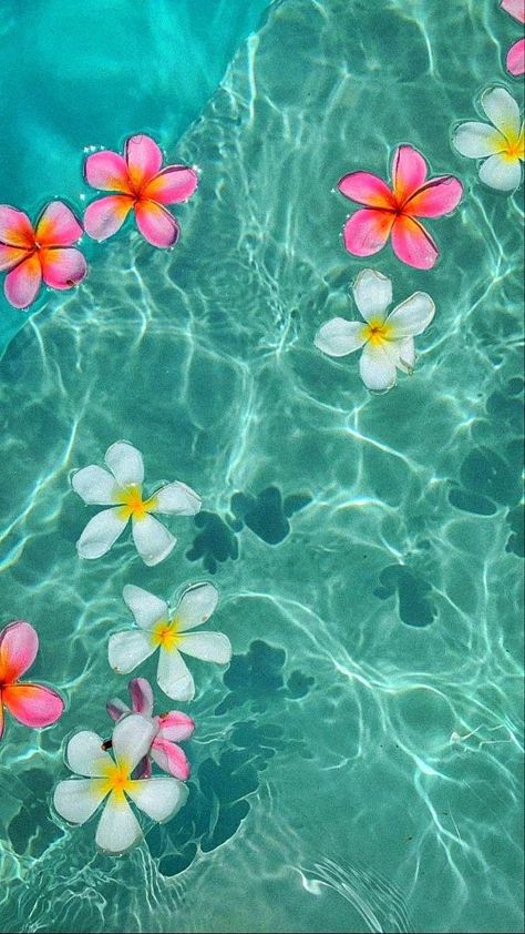 Wallpaper Backgrounds For Summer, Summer Aesthetic Vibes Wallpaper, Phone Wallpaper Summer Aesthetic, Summer Backround Pics, Hawaii Aesthetic Wallpaper Iphone, Iphone Wallpaper Summer Aesthetic, Cute Wallpapers For Summer, Preppy Asthetics Wallpaper, Blue Summer Wallpaper Iphone